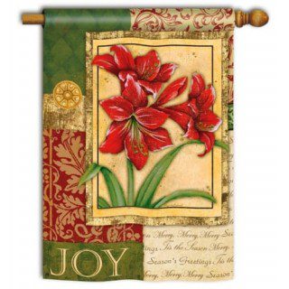 Amaryllis Tapestry House Flag | Christmas, Outdoor, House, Flags