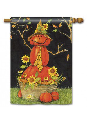 Mr. Scarecrow House Flag | Halloween, Outdoor, House, Flags