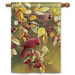 Cardinal Afternoon House Flag | Fall, Bird, Outdoor, House, Flags