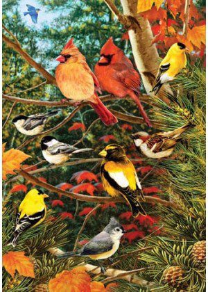 Songbirds on Pine Flag | Bird, Fall, Decorative, House, Lawn, Flags