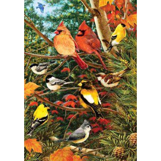 Songbirds on Pine Flag | Bird, Fall, Decorative, House, Lawn, Flags