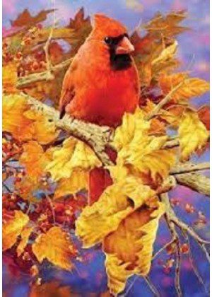 Brilliant Autumn Cardinal Flag | Fall, Bird, Decorative, Lawn, Flags