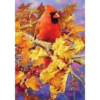 Brilliant Autumn Cardinal Flag | Fall, Bird, Decorative, Lawn, Flags