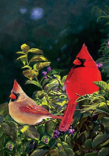 https://www.gardenhouseflags.com/wp-content/uploads/2015/09/Cardinal-Pair-Flag.jpg