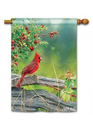 Cardinal Lookout House Flag | Summer, Bird, Outdoor, House, Flag