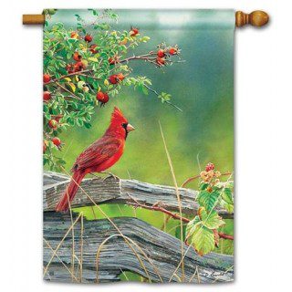 Cardinal Lookout House Flag | Summer, Bird, Outdoor, House, Flag