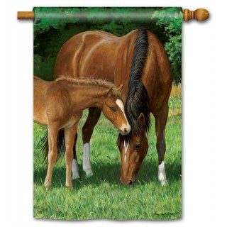 Grazing House Flag | Animal, Summer, Cool, Outdoor, House, Flag