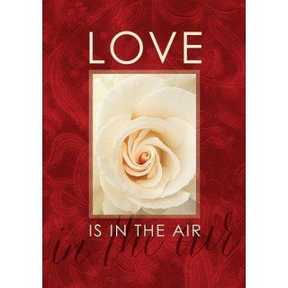 Love Is In The Air Flag | Discount, Decorative, Clearance, Flags