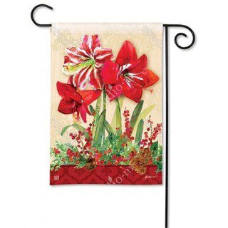Amaryllis Garden Flag | Christmas, Floral, Yard, Garden, Flags
