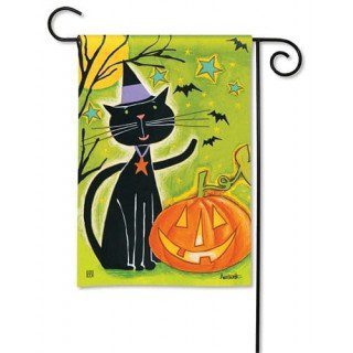 Black Cat Magic Garden Flag | Halloween, Yard, Garden, Flags