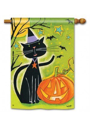 Black Cat Magic House Flag | Halloween, Outdoor, House, Flags