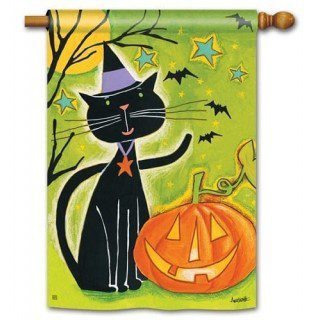 Black Cat Magic House Flag | Halloween, Outdoor, House, Flags