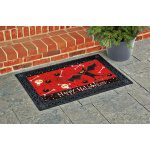 Bats and Bones Doormat | MatMates | Decorative Doormats