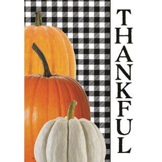 Gingham Thankful Flag | Fall, Welcome, Decorative, Lawn, Flags