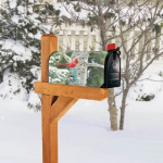 Winter Birds Mailbox Cover Image