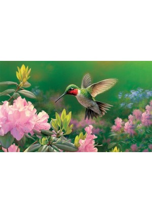 Hovering Hummer Doormat | Decorative Doormats | MatMates