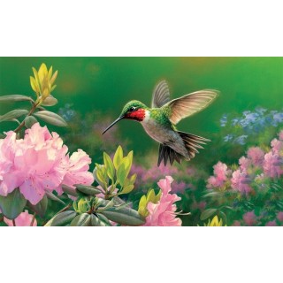 Hovering Hummer Doormat | Decorative Doormats | MatMates