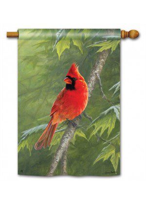 Cardinal House Flag | Spring, Summer, Bird, Outdoor, House, Flags