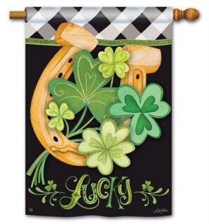 Lucky to be Irish House Flag | St. Patrick's Day, Cool, House, Flags