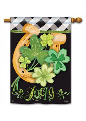 Lucky to be Irish House Flag | St. Patrick's Day, Cool, House, Flags