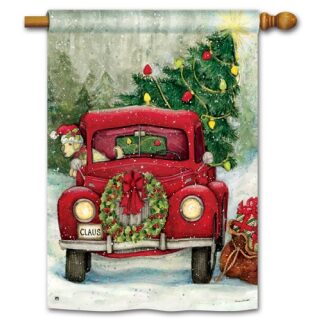 Bringing Home the Tree House Flag | Christmas, Cool, House, Flag