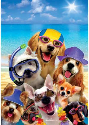Beach Dogs Flag | Summer, Beach, Animal, Decorative, Flags