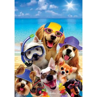 Beach Dogs Flag | Summer, Beach, Animal, Decorative, Flags