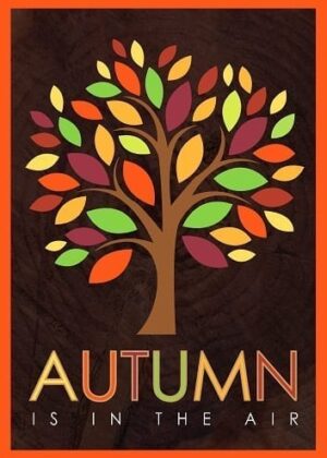 Fall Clearance Category Image