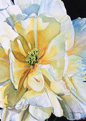 Spring Clearance Category Image