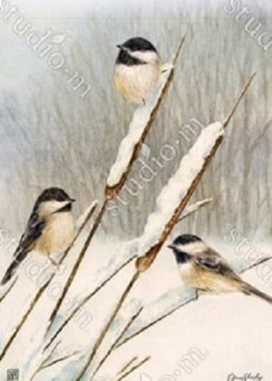 Winter Clearance Category Image