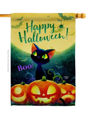 Cute Black Cat House Flag | Halloween, Two Sided, House, Flags