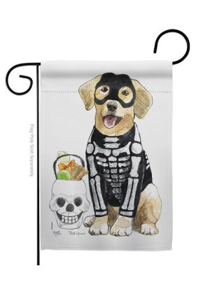 Spooky Skeleton Lab Garden Flag | Halloween, Cool, Garden, Flag