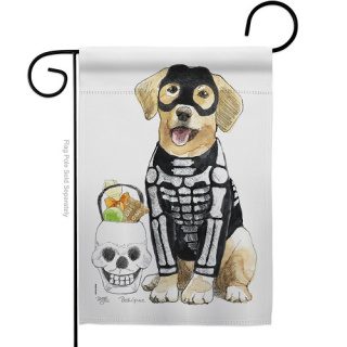 Spooky Skeleton Lab Garden Flag | Halloween, Cool, Garden, Flag