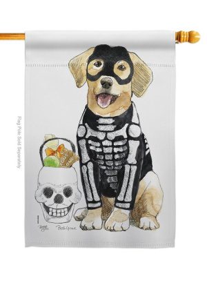 Spooky Skeleton Lab House Flag | Halloween, Double Sided, Flags