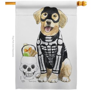 Spooky Skeleton Lab House Flag | Halloween, Double Sided, Flags