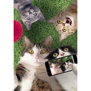 Camera Cats Flag | Animal, Spring, Decorative, Lawn, Yard, Flags