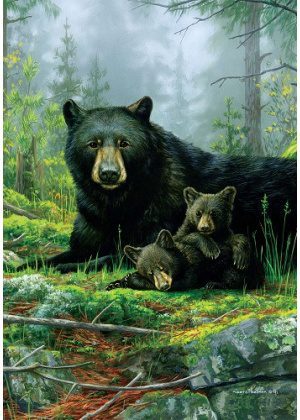 Three Bears Flag | Animal, Wildlife, Spring, Decorative, Cool, Flags