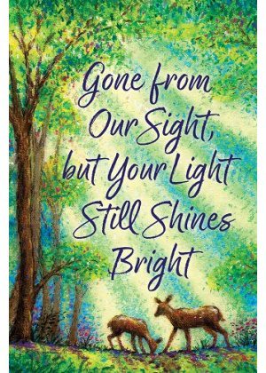 Your Light Shines Flag