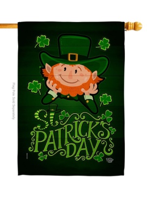 Lucky Leprechaun House Flag | St. Patrick's Day, House, Flags