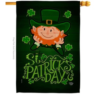 Lucky Leprechaun House Flag | St. Patrick's Day, House, Flags