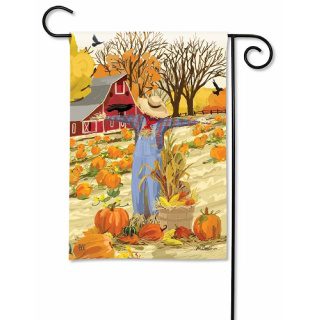 Harvest Scarecrow Garden Flag | Fall, Decorative, Garden, Flags