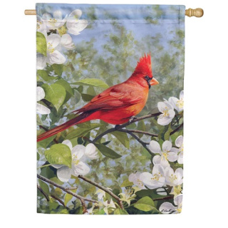 Cardinal in Blossoms House Flag | Bird, Spring, House, Flags