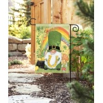 Lucky Gnome Garden Flag | St. Patrick's Day, Cool, Garden, Flags