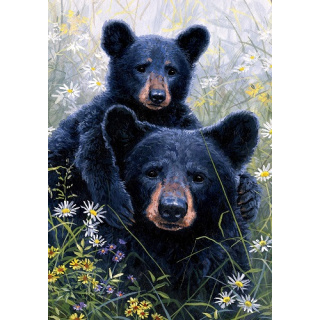 Black Bear Lookout Flag | Spring Flags | Animal Flag | Wildlife Flag