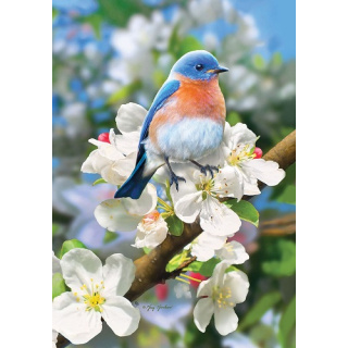 Stunning Bluebird Flag | Bird Flags | Decorative Flags | Cool Flags