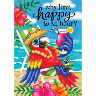 Why Limit Happy Flag | Summer Flags | Double Sided Flags