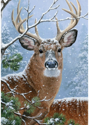 Winter Whitetail Flag | Winter Flags | Animal Flags | Cool Flags