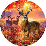 Deer Pumpkins Stepping Stone | Stepping Stones | Pavers