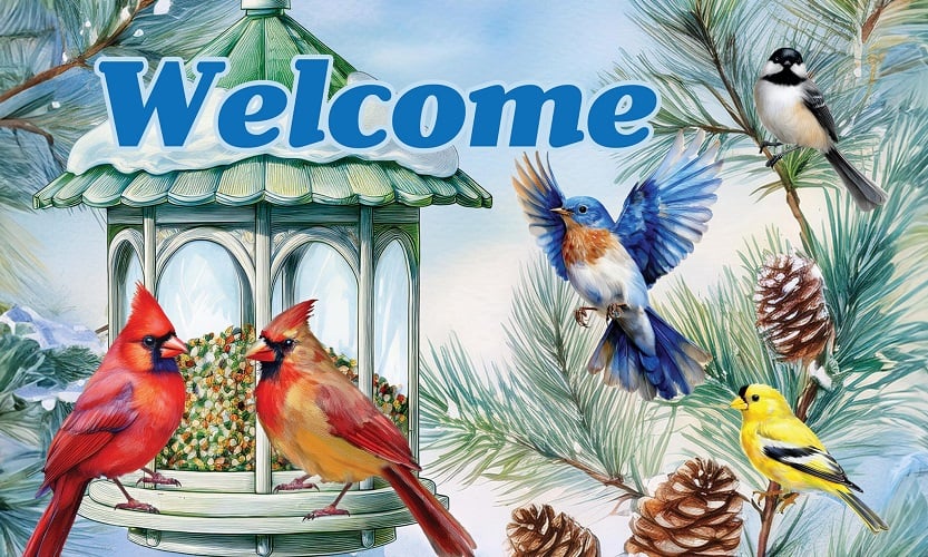Winter Feeder Doormat | Decorative Doormats | MatMates